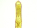 Longitarsus succineus